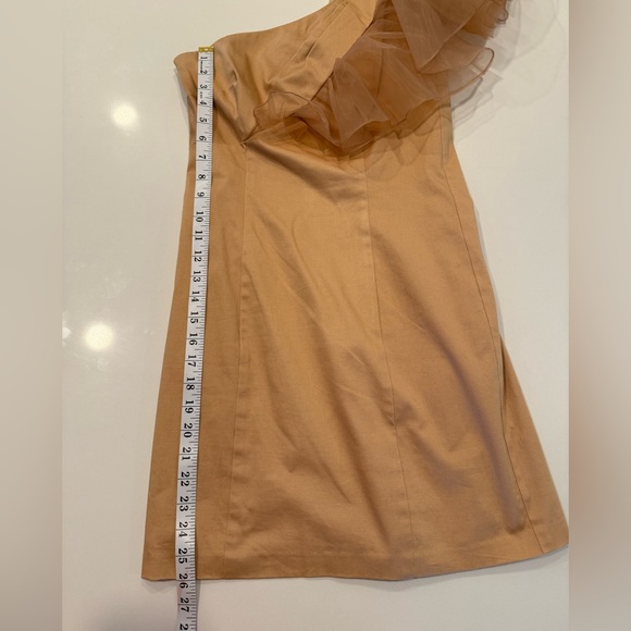 Mark + James by Badgley Mischka Organza One-Shoulder Tan Ruffle Dress - Picture 9 of 11